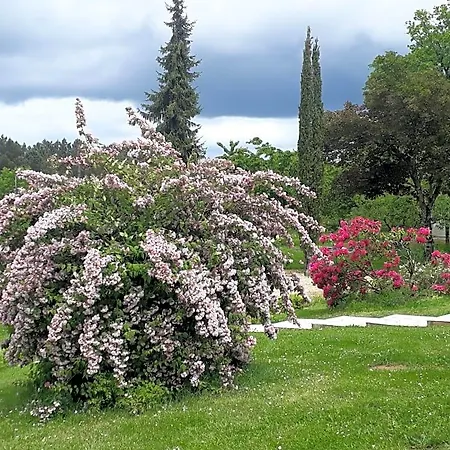ベッド・アンド・ブレックファスト Bienvenue En Perigord Val de Louyre et Caudeau